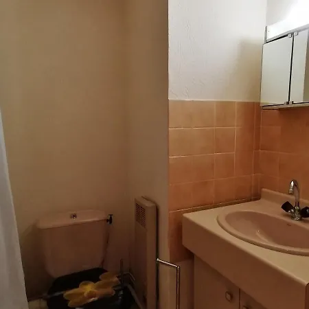Studio 4 Pers. Face Telesiege Avec Garage, Proche Commerces - Fr-1-635-110 Saint-Francois-Longchamp